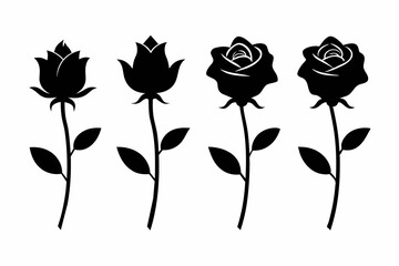 rose flower silhouette vector illustration