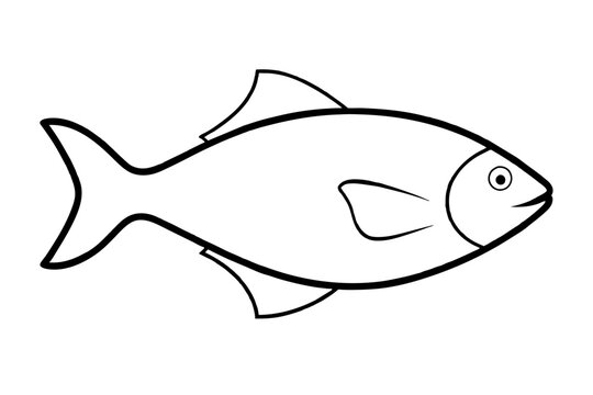recommend clip art: triggerfish line art vector illustration