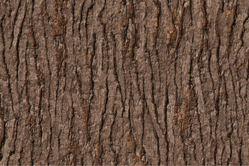 long bark texture background
