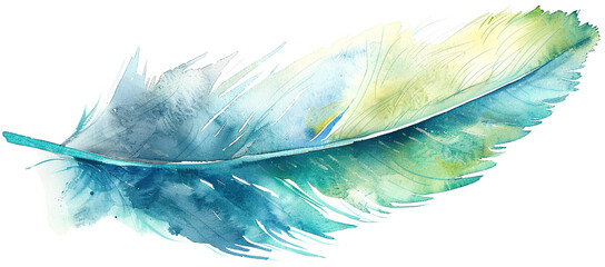 blue feather isolated on transparent background.