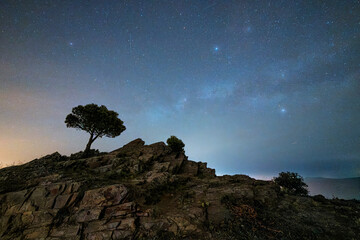 Montaña con un árbol y la Vía láctea en el cielo nocturno