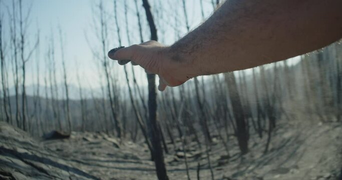 Detail of a hand spreading ashes in a burned forest. Forest fire