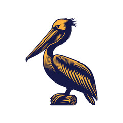 pelican on white background