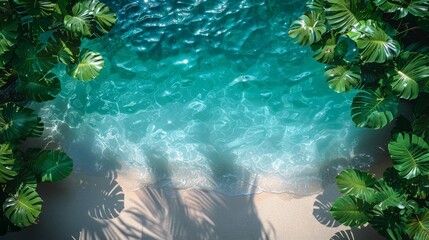 An aerial shot captures the peaceful interface of gentle waves washing onto a sandy beach framed by palms