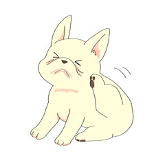 かゆがるフレンチブルドッグ