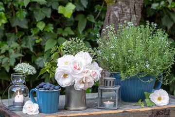 Tisch-Arrangement mit weißem Rosenstrauß, Heidelbeeren in Tasse und Thymian im Porzellan-Topf