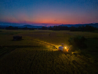 Fototapeta premium View of rice field in Phu Yen, Vietnam. Rice production in Vietnam in the Mekong and Red River deltas is important to the food supply