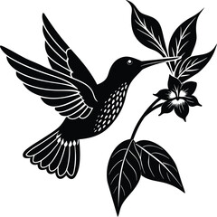 Flying hummingbirds silhouette isolated on white background