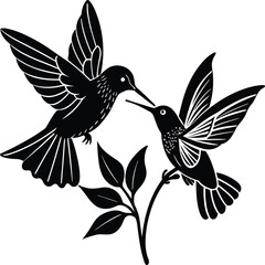 Flying hummingbirds silhouette isolated on white background