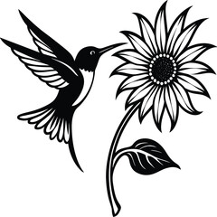 Flying hummingbirds silhouette isolated on white background