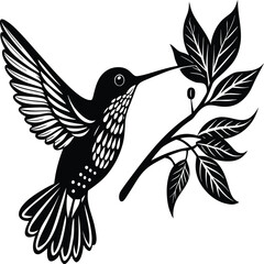 Flying hummingbirds silhouette isolated on white background