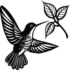 Flying hummingbirds silhouette isolated on white background