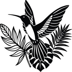 Flying hummingbirds silhouette isolated on white background