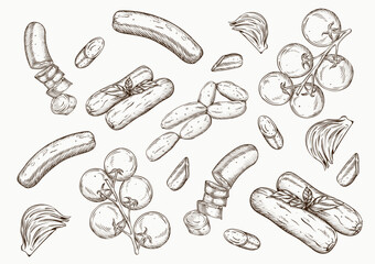 hand drawn food sausage vegetable