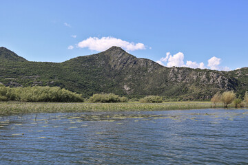 Skutarisee in Montenegro