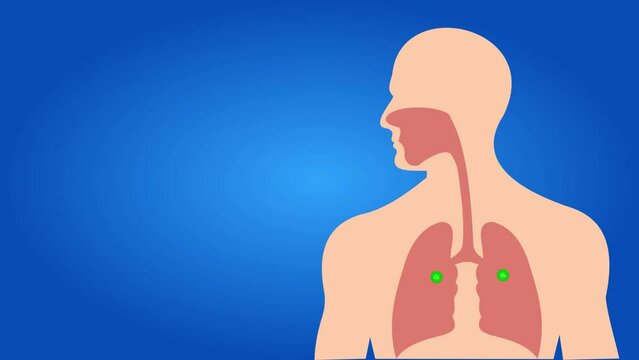 Animated Respiratory Process Oxygen to Carbon Dioxide Exchange