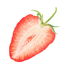 Red strawberry half, slice hand drawn watercolor illustration. Delicious food art, fresh botanical realistic painting. Summer berry clipart for cafe menu, packaging of farm goods, vegan products
