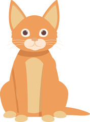 Adorable orange tabby cat with white chest sitting and looking forward