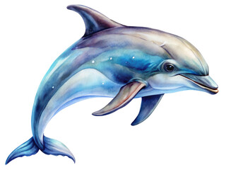 Fototapeta premium Watercolor dolphin illustration, isolated on transparent background, png.