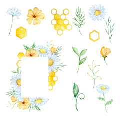 Watercolor floral frame with honeycomb, daisy and leaves
