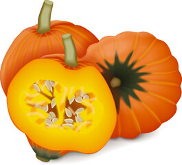 Whole and half of Golden Nugget squash. Winter squash. Cucurbita maxima. Fruits and vegetables. Isolated vector illustration.