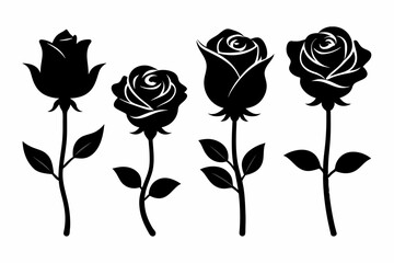 many roses silhouette vector illustration