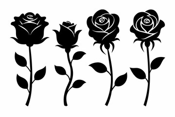 many roses silhouette vector illustration
