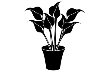 calla lily flower silhouette vector illustration