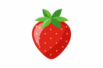 strawberry fruit vector illustration