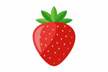 strawberry fruit vector illustration