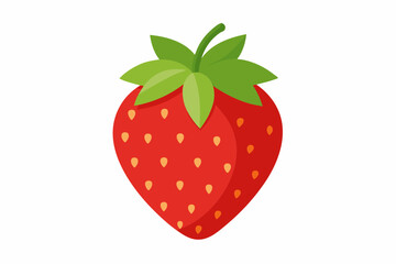 strawberry fruit vector illustration
