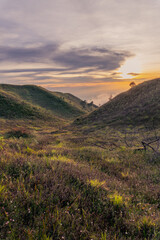 sunrise in the mountains