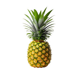 Fototapeta premium isolated white background of pineapple