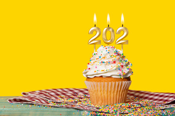 Birthday Cake With Candle Number 202