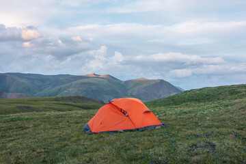 Man peeking out of vivid orange tent on grassy flowering hill with view to multicolor mountain under cloudy sky. Sunlit mountain tops of sunset colors. Twilight alpine landscape with colorful tops.