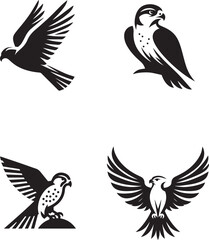 falcon bird silhouette vector