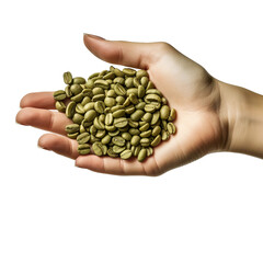 raw green coffee beans on a female hand closeup isolated on white background with empty space on left