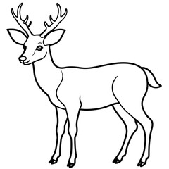 Fototapeta premium deer cartoon line art outline coloring page nursery room decor illustration, isolated on transparent background 