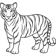 Obraz premium tiger cartoon line art outline coloring page nursery room decor illustration, isolated on transparent background