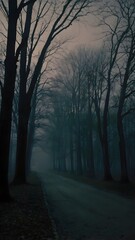 Obraz premium morning in the woods