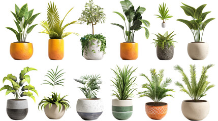 Obraz premium assorted potted plants isolated on white background botanical collection digital illustration