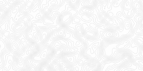 Lines Topographic contour lines map seamless pattern. Geographic mountain relief. Abstract lines background. Contour maps. Topo contour map design.
