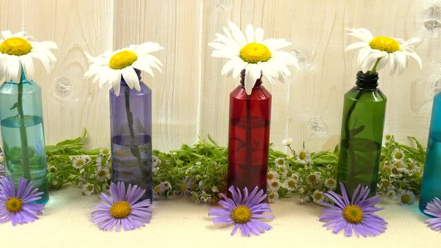 Fresh chamomile flowers in the transparent colorful glass bottles and purple asters placed in a row, summer decor, background.