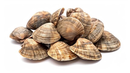 Close-up of a pile of fresh clams. The image captures the natural textures and colors of the clams in a simple, minimalistic style. Ideal for culinary or marine-themed projects. AI