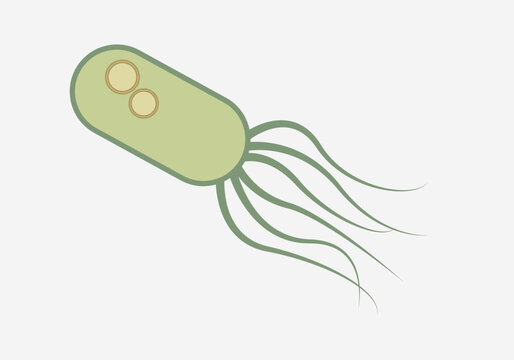 Bacteria verde con cilios para desplazarse