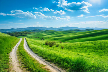 Fototapeta premium Embark on a Rolling Hills Adventure