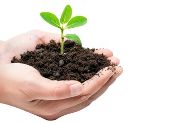 Hands Holding Soil. Concept of Care and Growth in Agriculture