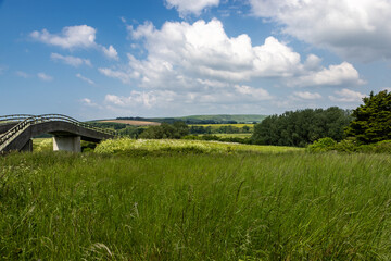 A green Sussex landscape in early summer, with a footbridge along the South Downs Way