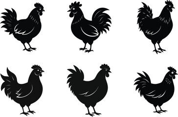 set of chicken