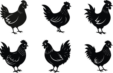 Obraz premium set of chicken